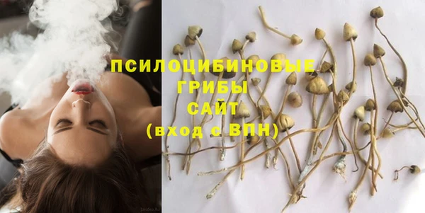 бошки Алексеевка