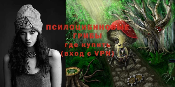 амф Алексин